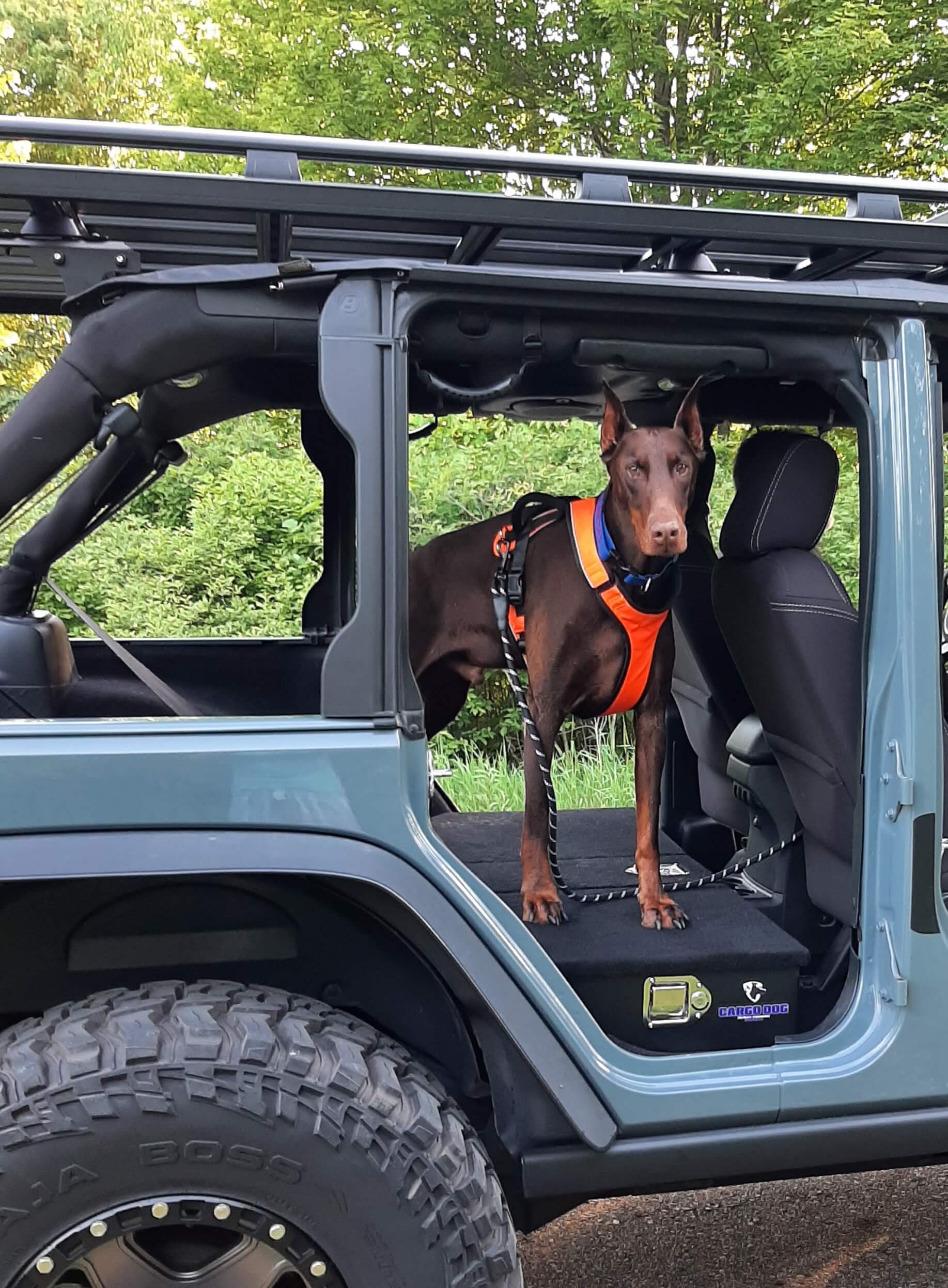 Dog box for jeep wrangler best sale